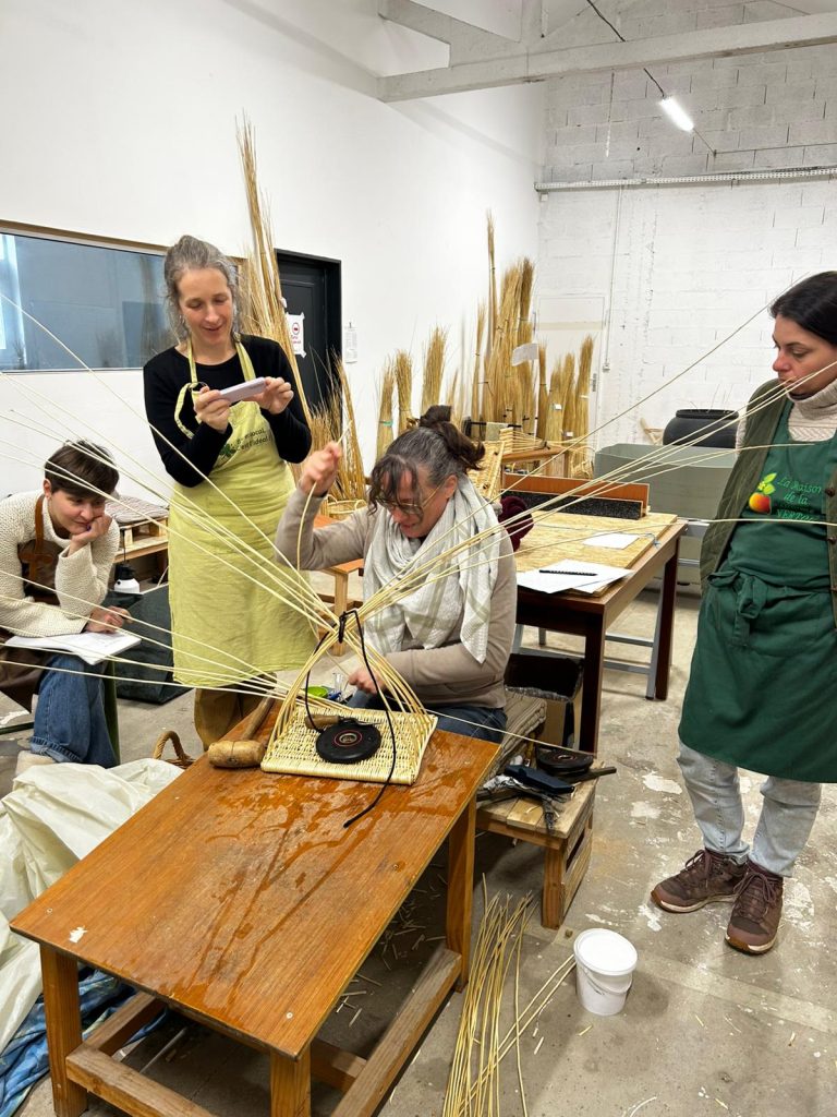 Groupe etudiants qui regardent vannière professionnelle