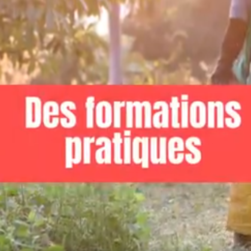 CFP Le Verger : formation pour adultes