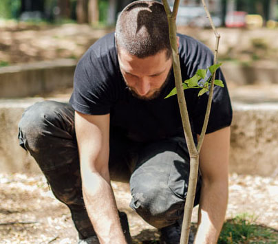 formation_agriculture