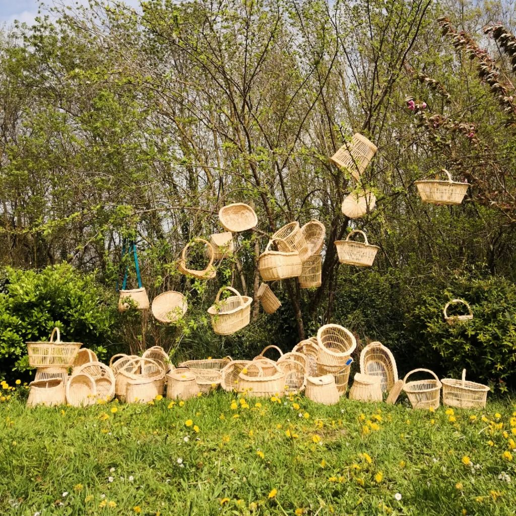 paniers dans les arbres cap vannerie
