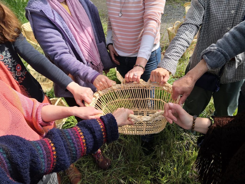 photo mains autour d'un panier
